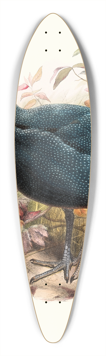 Joseph Smit - Numida plumifera. 39.3 inch art pintail longboard deck