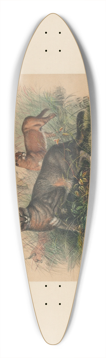 Joseph Wolf - The Caracal 39.3 inch art pintail longboard deck