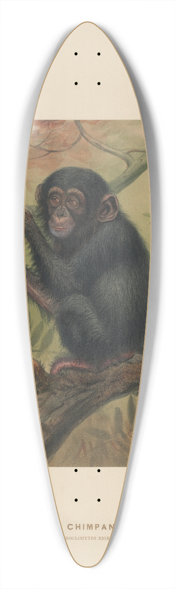Joseph Wolf - The Chimpanzee 39.3 inch art pintail longboard deck