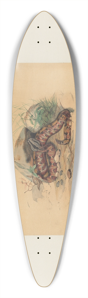 Joseph Wolf - The Clotho 39.3 inch art pintail longboard deck