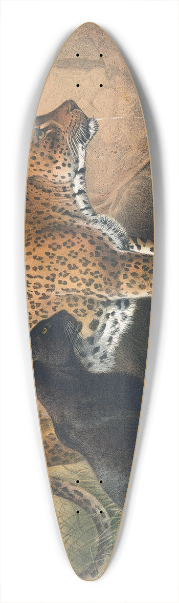 Joseph Wolf - The Leopard 39.3 inch art pintail longboard deck