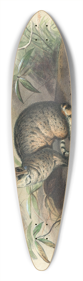 Joseph Wolf - The Rasse 39.3 inch art pintail longboard deck