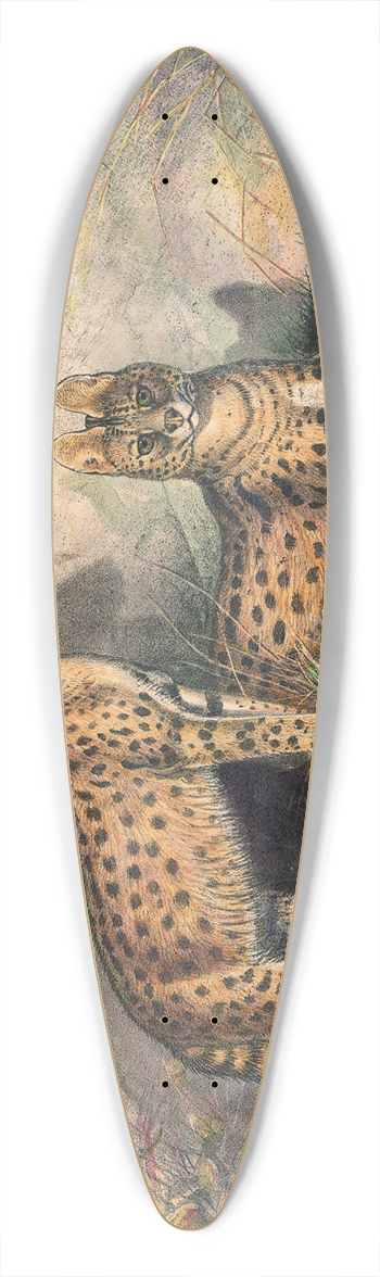 Joseph Wolf - The Serval 39.3 inch art pintail longboard deck