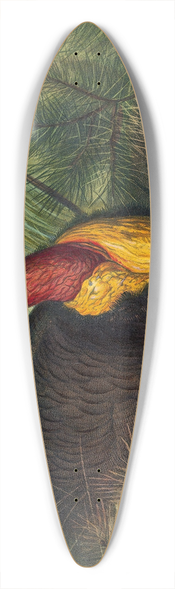 Joseph Wolf - The Talegalla 39.3 inch art pintail longboard deck