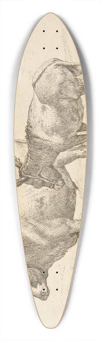 Karel Dujardin - En okse og et sel 39.3 inch art pintail longboard deck