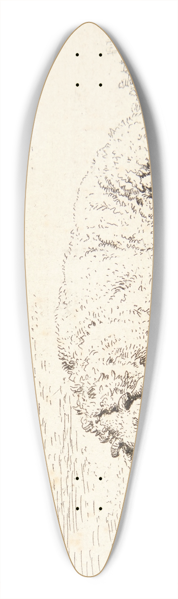 Karel Dujardin - Liggende fr 39.3 inch art pintail longboard deck