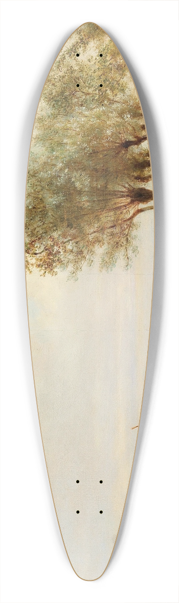 Karl Girardet - A Sunday outing 39.3 inch art pintail longboard deck