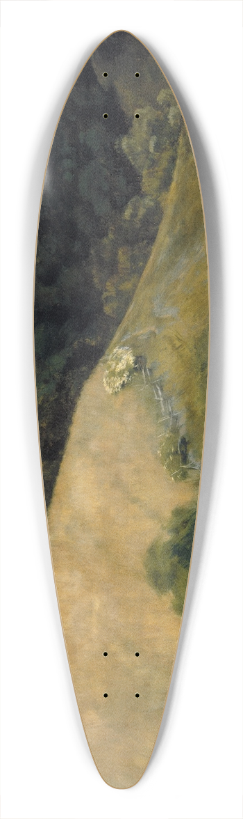Kenyon Cox - Flying Shadows 39.3 inch art pintail longboard deck