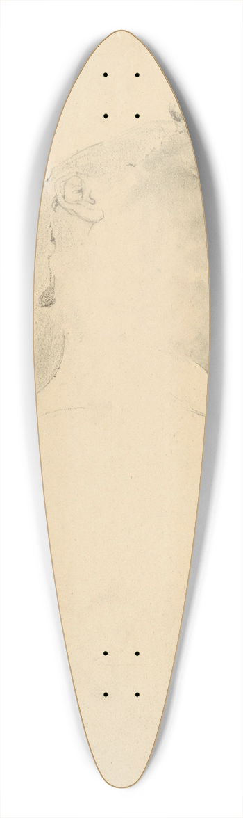 kos Aranyossy - tdia aktu leiacej eny 39.3 inch art pintail longboard deck