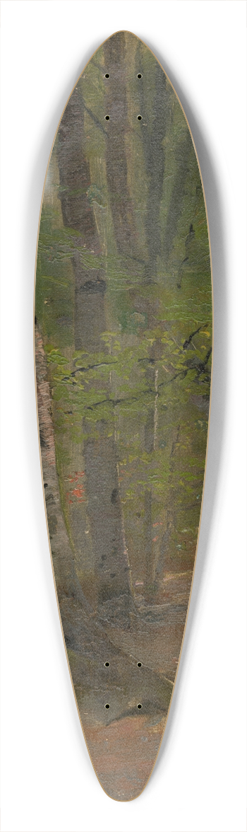 Ladislav Mednynszky - Study of Forest Interior 39.3 inch art pintail longboard deck