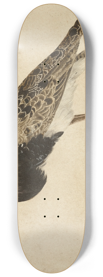 Gerardus van Veen - Standing Ruff 8.25 inch art skate deck