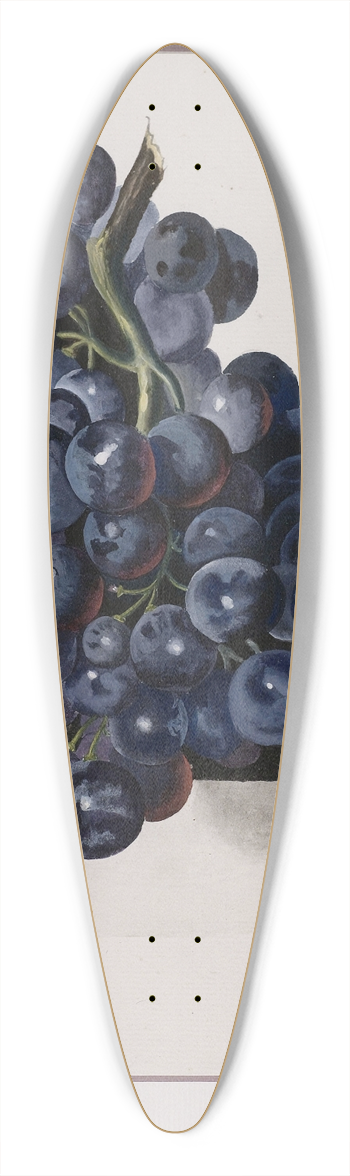 Leopold Zinngger - Grapes 39.3 inch art pintail longboard deck