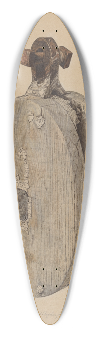 Lloyd Charles Lemcke - Halyard Block 39.3 inch art pintail longboard deck