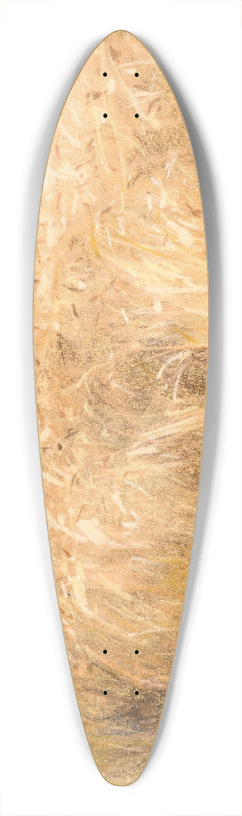 Lon Augustin Lhermitte - Les bls 39.3 inch art pintail longboard deck