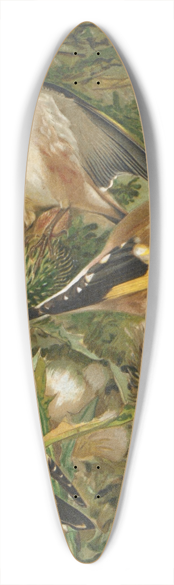 Lo-Paul Robert - Chardonneret 39.3 inch art pintail longboard deck
