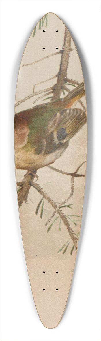 Lo-Paul Robert - Roitelet 39.3 inch art pintail longboard deck
