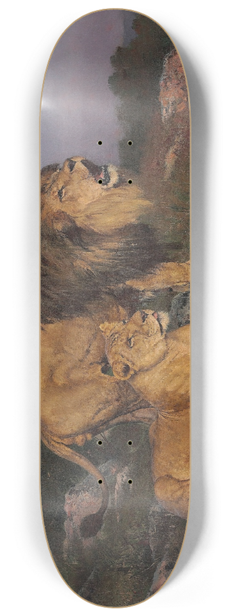 Geza Vastagh - The Lions Domain 8.25 inch art skate deck