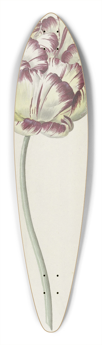 Louis Moritz - Tulp 39.3 inch art pintail longboard deck