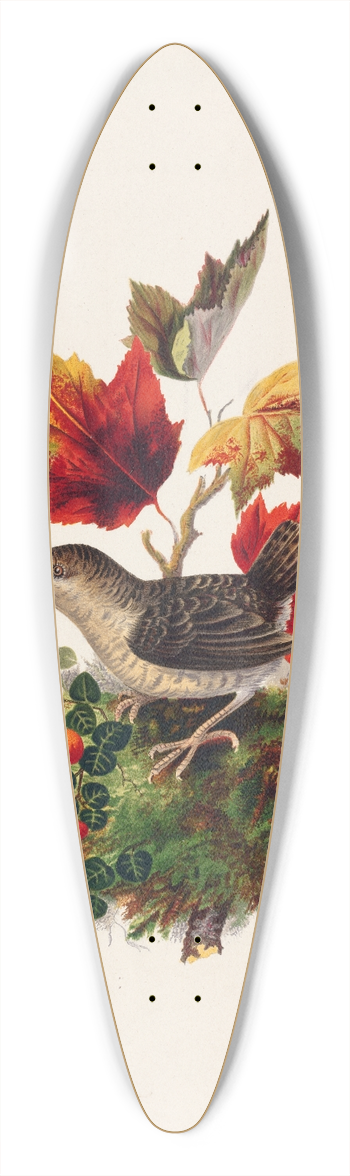 Louis Prang - Bird with Autumn Leaves 39.3 inch art pintail longboard deck