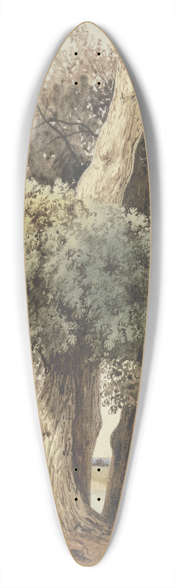 Ludwig Daniel Philipp Schmidt - Two trees on the river 39.3 inch art pintail longboard deck