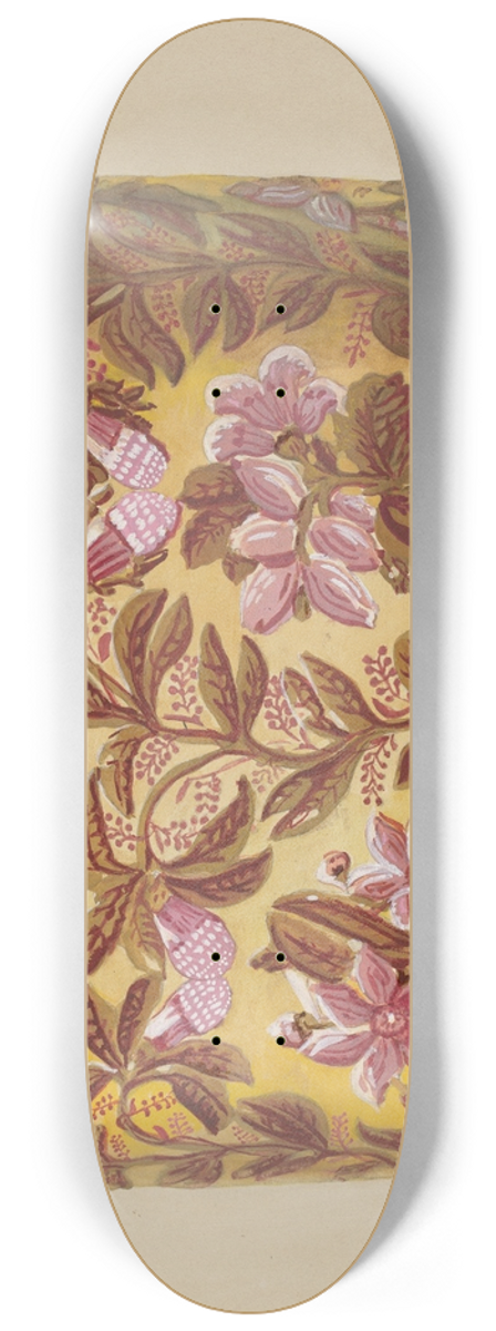 Gilbert Sackerman - Bandbox 8.25 inch art skate deck