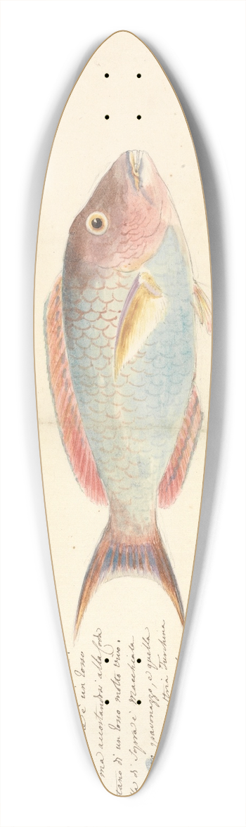 Luigi Balugani - Harid 39.3 inch art pintail longboard deck