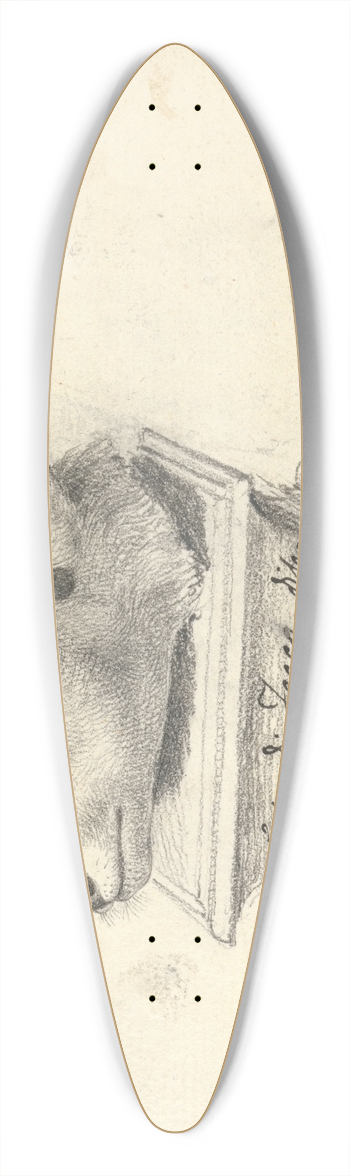 Luigi Balugani - Testa di Fecco 39.3 inch art pintail longboard deck