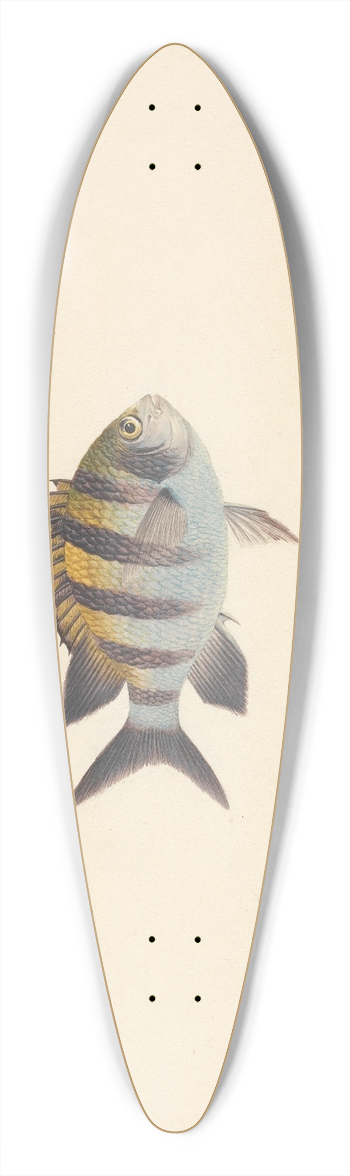 Luigi Balugani - Unidentified Fish 39.3 inch art pintail longboard deck