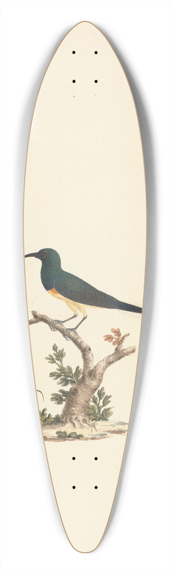 Luigi Balugani - Unidentified Sunbird 39.3 inch art pintail longboard deck