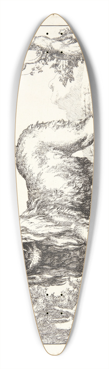 Marcus de Bye - Brlende lve 39.3 inch art pintail longboard deck
