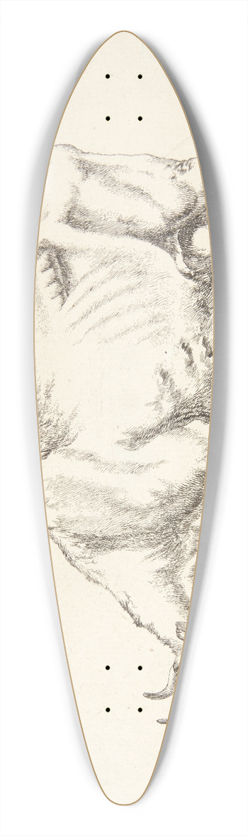 Marcus de Bye - Grssende ko 39.3 inch art pintail longboard deck
