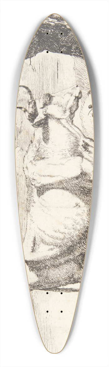 Marcus de Bye - Stende ko, vendt mod hjre 39.3 inch art pintail longboard deck