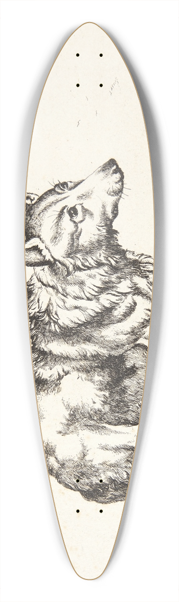 Marcus de Bye - Stende ulv, vendt mod hjre 39.3 inch art pintail longboard deck
