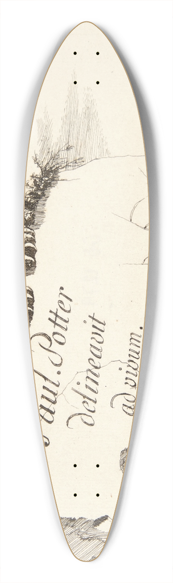 Marcus de Bye - Titelblad til Leoparder 39.3 inch art pintail longboard deck