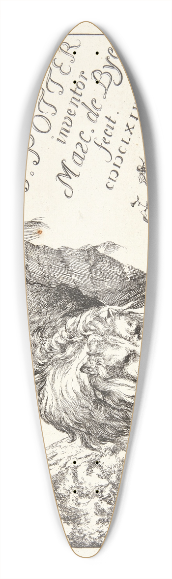 Marcus de Bye - Titelblad til Lver 39.3 inch art pintail longboard deck