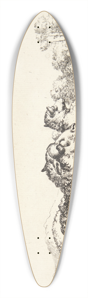 Marcus de Bye - To liggende fr 39.3 inch art pintail longboard deck