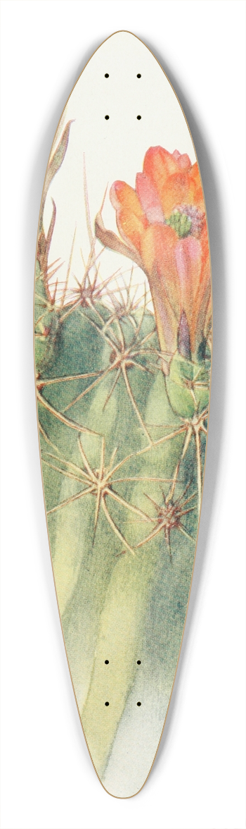 Margaret Armstrong - Hedgehog Cactus 39.3 inch art pintail longboard deck