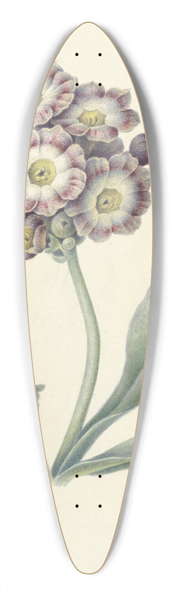 Maria Margaretha van Os - Bloemenstudie 39.3 inch art pintail longboard deck