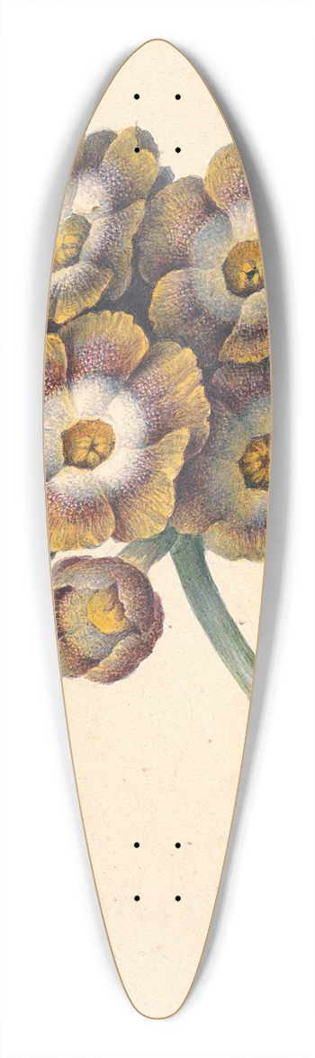 Maria Margaretha van Os - Bloemenstudie 39.3 inch art pintail longboard deck