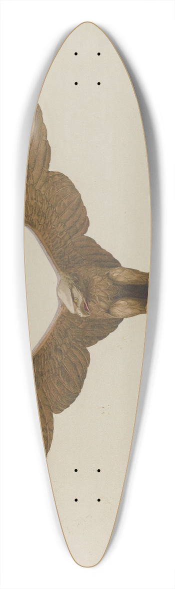 Marian Page - Eagle 39.3 inch art pintail longboard deck