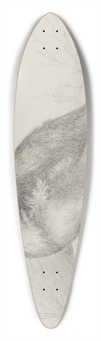 Marius Bauer - Jonge vogel op een steen 39.3 inch art pintail longboard deck