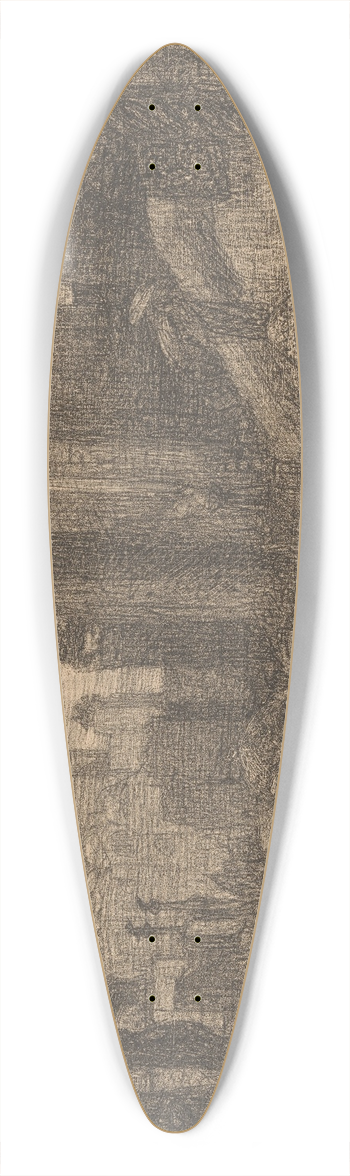Marius Bauer - Optocht met draagkoets 39.3 inch art pintail longboard deck