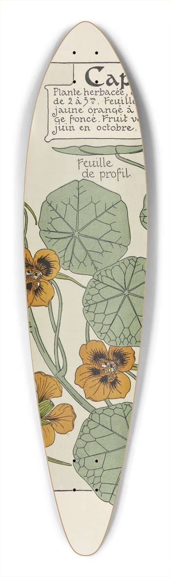 Maurice Pillard Verneuil - Capucine 39.3 inch art pintail longboard deck