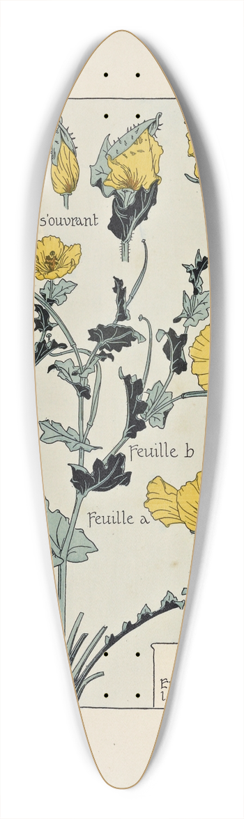 Maurice Pillard Verneuil - Glaucie. 39.3 inch art pintail longboard deck