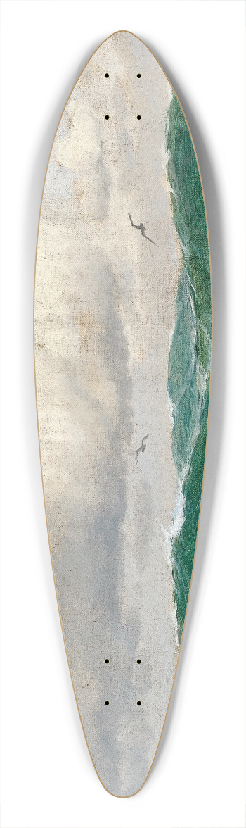 Max Jensen - A seascape with seagulls 39.3 inch art pintail longboard deck