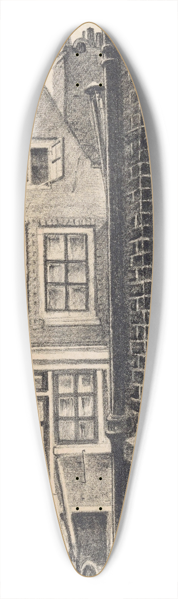 Meijer Bleekrode - Doorkijkje 39.3 inch art pintail longboard deck