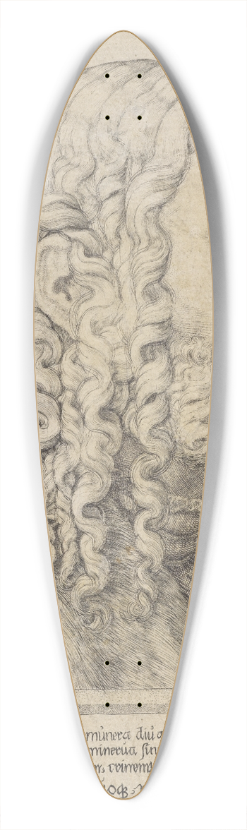 Melchior Lorck - Albrecht Drer 39.3 inch art pintail longboard deck