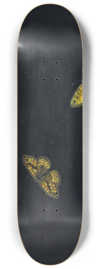 Giovanna Garzoni - Zwei Schmetterlinge 8.25 inch art skate deck