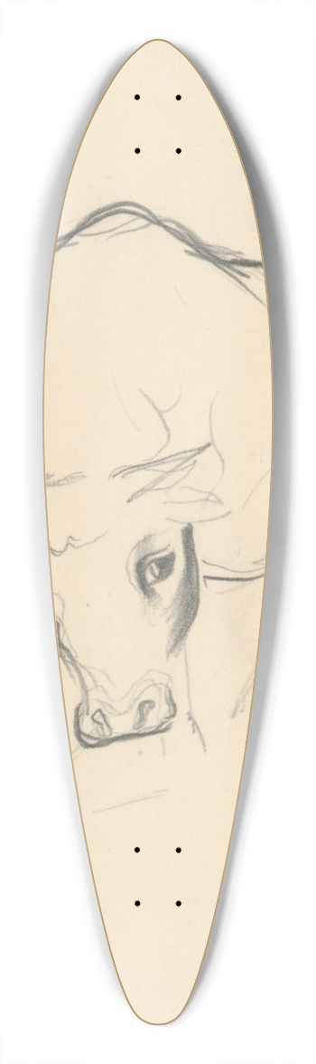 Mikul Galanda - Young Bull 39.3 inch art pintail longboard deck