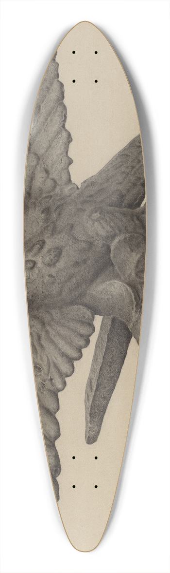 Milton Grubstein - Wall Anchor 39.3 inch art pintail longboard deck